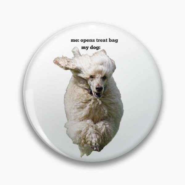 Item preview, Funny Poodle Treat Bag Reaction Meme Print designed and sold by chaos-and-curls.