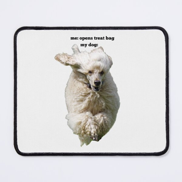 Item preview, Funny Poodle Treat Bag Reaction Meme Print designed and sold by chaos-and-curls.