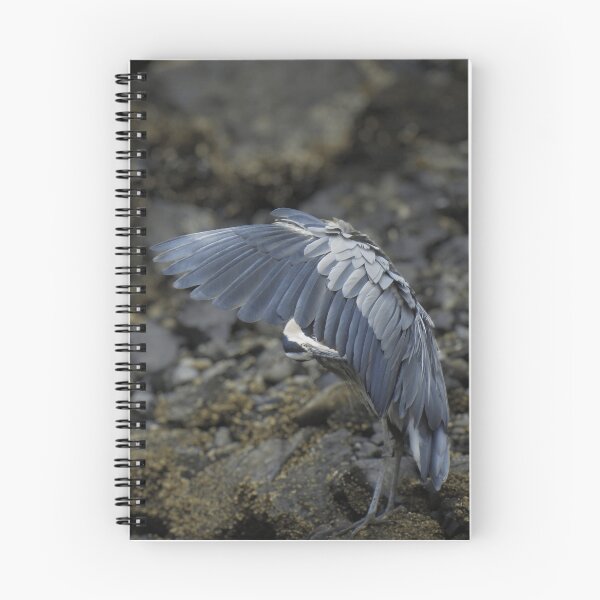 Item preview, Great Blue Heron Grooming its Wings designed and sold by MJ M.