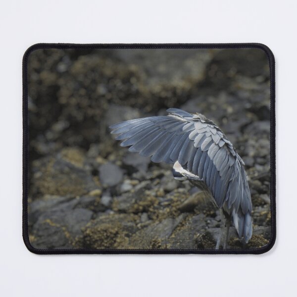 Item preview, Great Blue Heron Grooming its Wings designed and sold by MJ M.