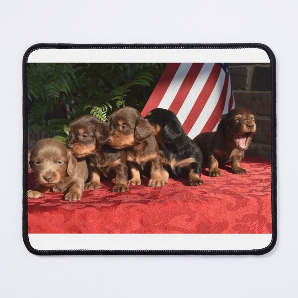Item preview, Cute little dachshund puppies with the last one yawning designed and sold by OzzyluArt.