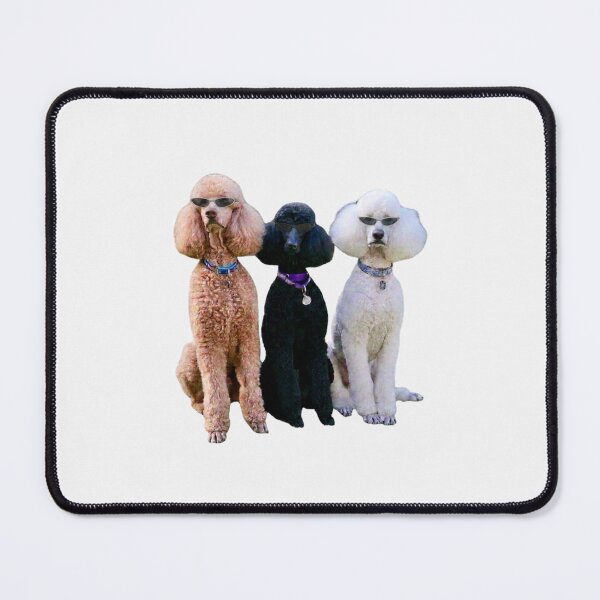 Item preview, Three Poodles With Sunglasses Cool Dog Art Print designed and sold by chaos-and-curls.