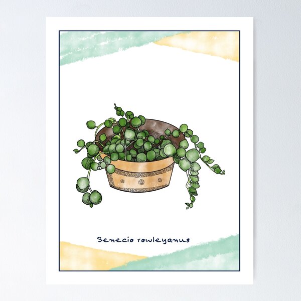 Item preview, Pearls designed and sold by IsabellaPellino.