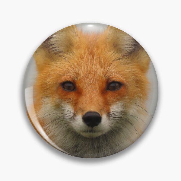 Item preview, Vibrant Fox Portrait Photo designed and sold by JGCPhotography.