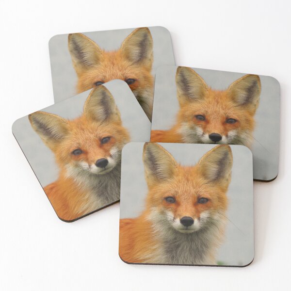 Item preview, Vibrant Fox Portrait Photo designed and sold by JGCPhotography.