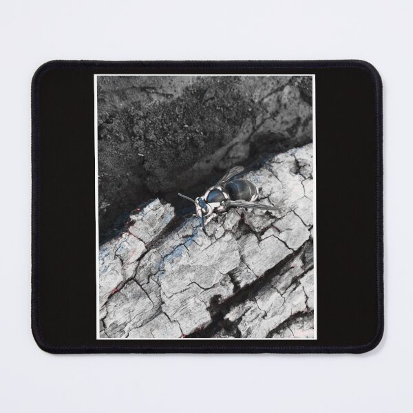Item preview, Wasp on Cracked Wood Surface designed and sold by reliew-atsica.
