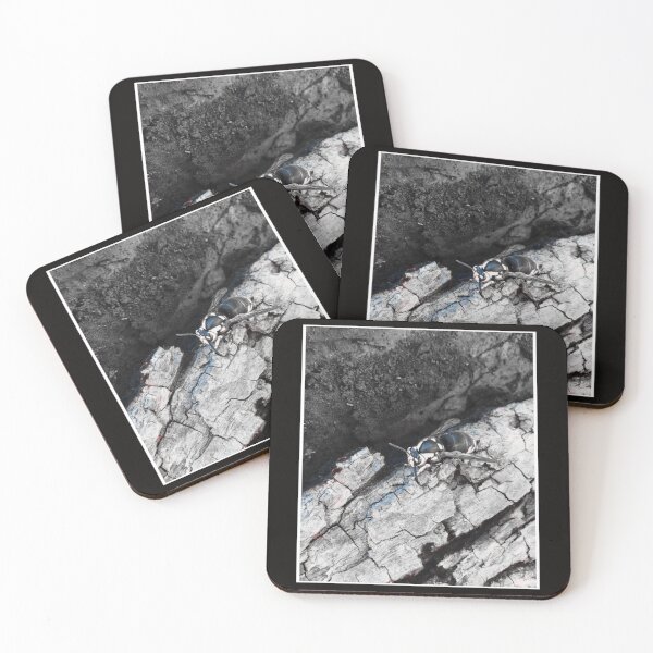 Item preview, Wasp on Cracked Wood Surface designed and sold by reliew-atsica.