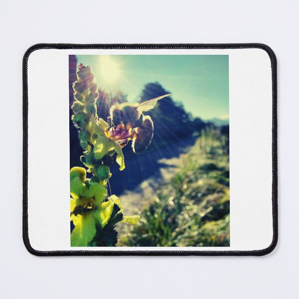 Item preview, Bumblebee on Flower at Sunrise designed and sold by reliew-atsica.