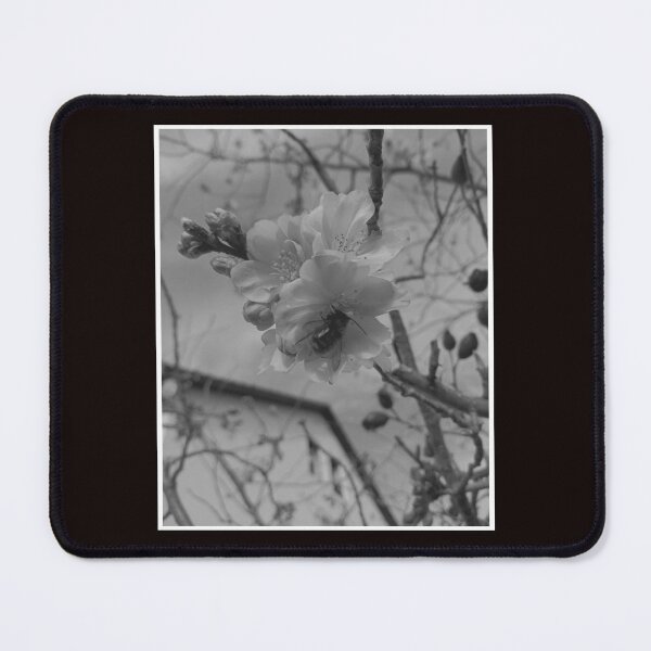 Item preview, Bee on Cherry Blossom Flower designed and sold by reliew-atsica.