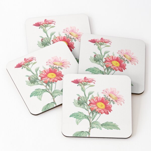 Artikelvorschau, Rote Asternblüten – Vintage-botanische Illustration entworfen und verkauft von TheRetroArtRoom.