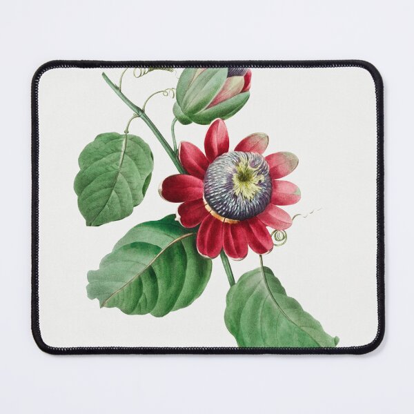Item preview, Passionflower Flowers Vintage Botanical Illustration designed and sold by TheRetroArtRoom.