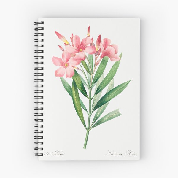 Item preview, Nerium Flowers Vintage Botanical Illustration designed and sold by TheRetroArtRoom.