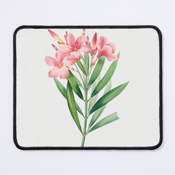 Item preview, Nerium Flowers Vintage Botanical Illustration designed and sold by TheRetroArtRoom.