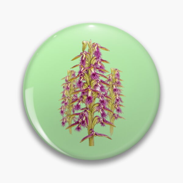 Item preview, Fringed Midge Orchid Genoplesium fimbriatum designed and sold by BlueBandedBee94.