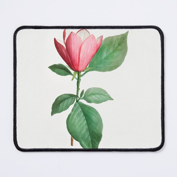 Item preview, Lily Magnolia Flowers Vintage Botanical Illustration designed and sold by TheRetroArtRoom.