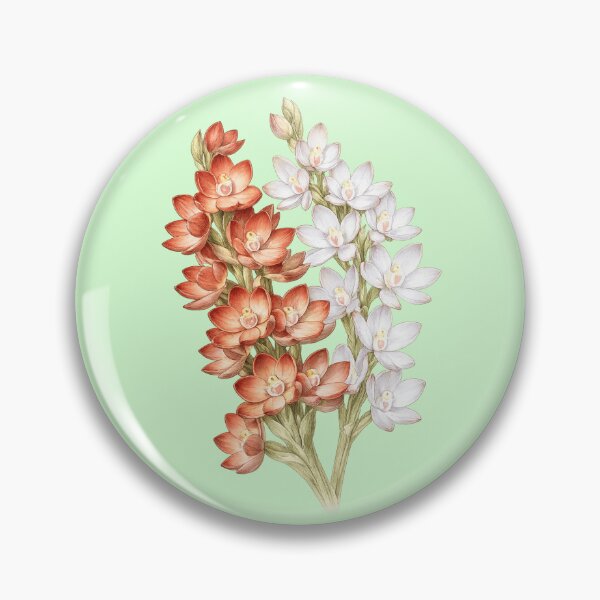 Item preview, Metallic Sun Orchid Thelymitra epipactoides designed and sold by BlueBandedBee94.