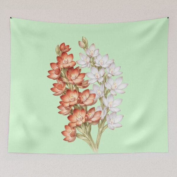 Item preview, Metallic Sun Orchid Thelymitra epipactoides designed and sold by BlueBandedBee94.