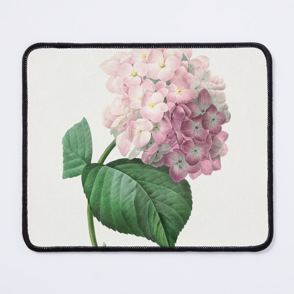 Item preview, Hydrangea Flowers Vintage Botanical Illustration designed and sold by TheRetroArtRoom.