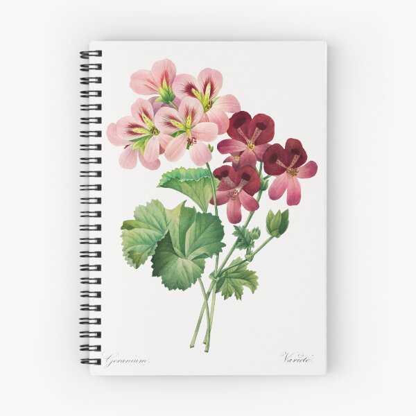 Item preview, Geranium Flowers Vintage Botanical Illustration designed and sold by TheRetroArtRoom.