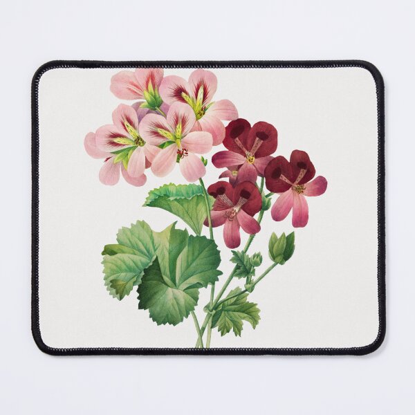 Item preview, Geranium Flowers Vintage Botanical Illustration designed and sold by TheRetroArtRoom.