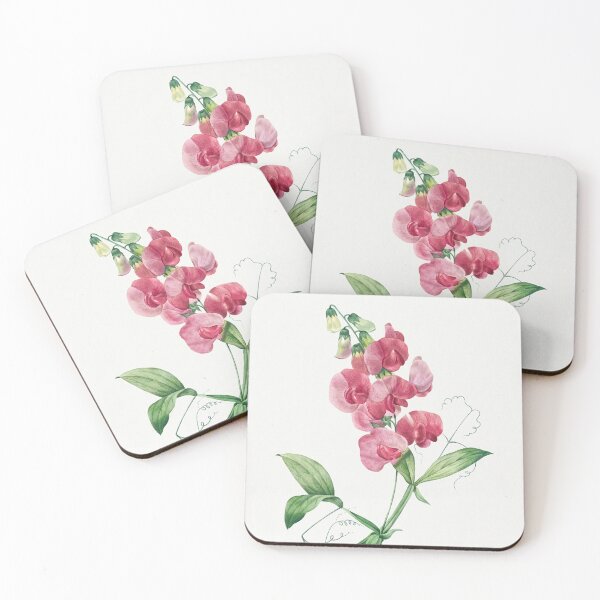 Item preview, Everlasting Sweet Pea Flowers Vintage Botanical Illustration designed and sold by TheRetroArtRoom.