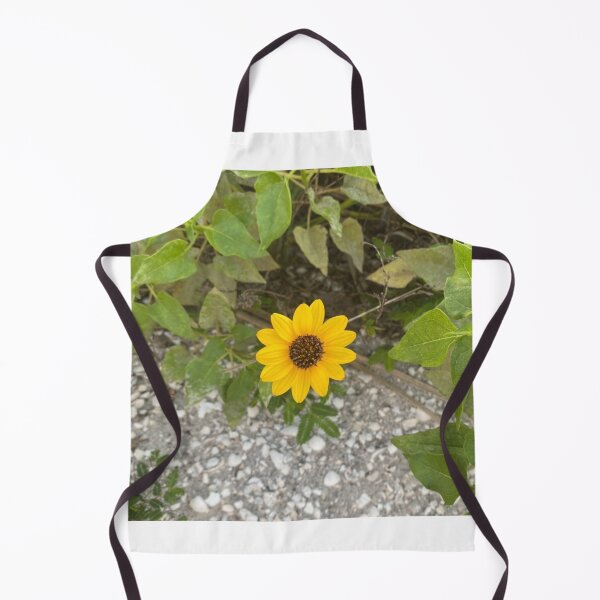 Item preview, Cucumberleaf Sunflower Gasparilla Island FL designed and sold by Donlan-2211.