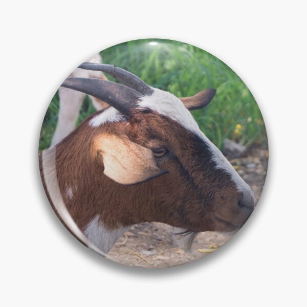 Item preview, Boer Goat designed and sold by ROSE ANN BANILAR.