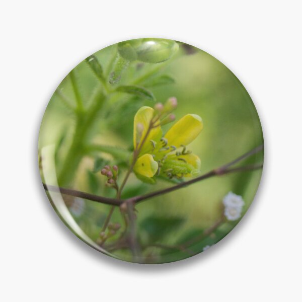 Item preview, Asian Spider Flower designed and sold by ROSE ANN BANILAR.