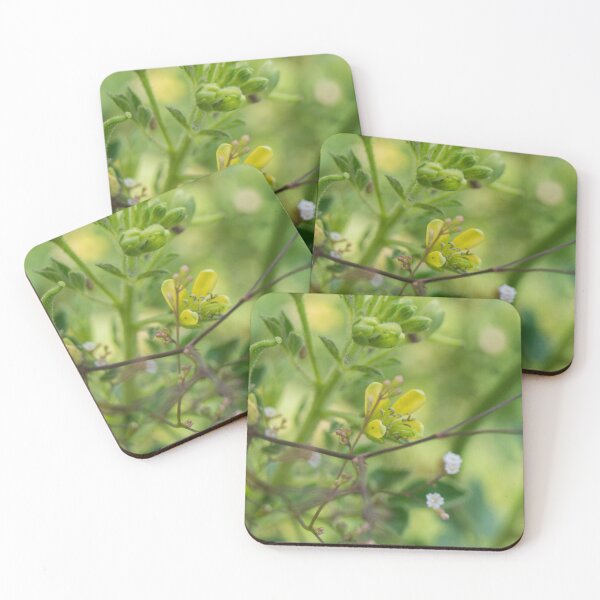 Item preview, Asian Spider Flower designed and sold by ROSE ANN BANILAR.