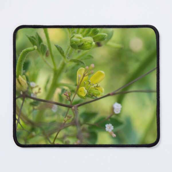 Item preview, Asian Spider Flower designed and sold by ROSE ANN BANILAR.