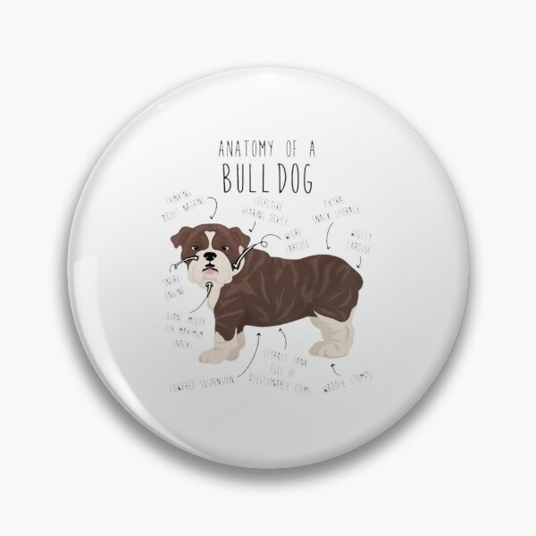 Item preview, Anatomy of a Bulldog Funny Dog Lover Gift designed and sold by SoyLamderma.