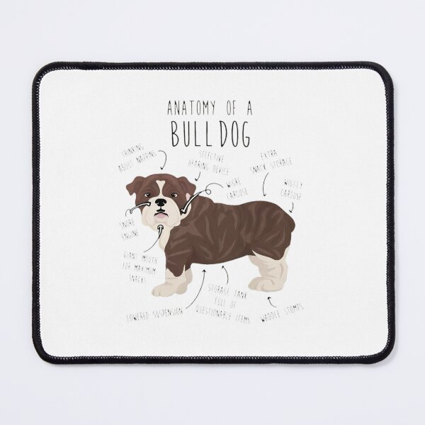Item preview, Anatomy of a Bulldog Funny Dog Lover Gift designed and sold by SoyLamderma.