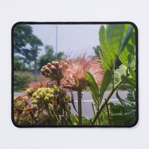 Item preview, Rain Tree Flowers designed and sold by ROSE ANN BANILAR.