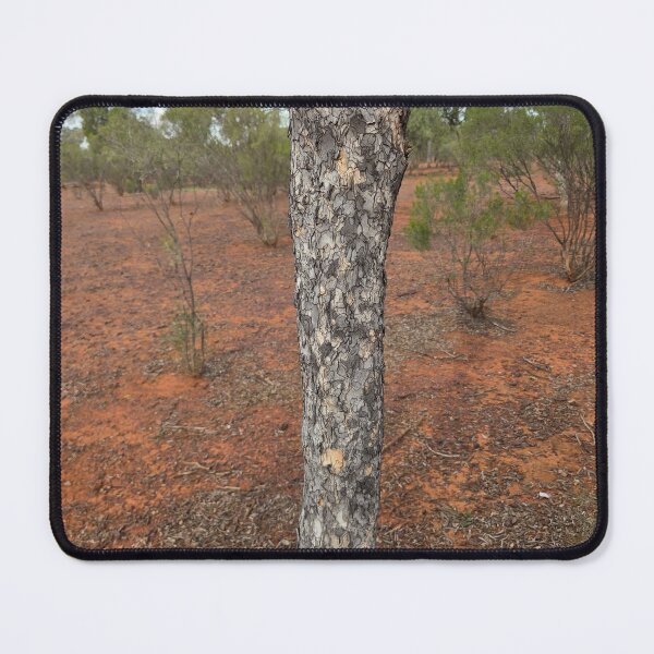 Item preview, Eucalyptus designed and sold by Workshopisme.