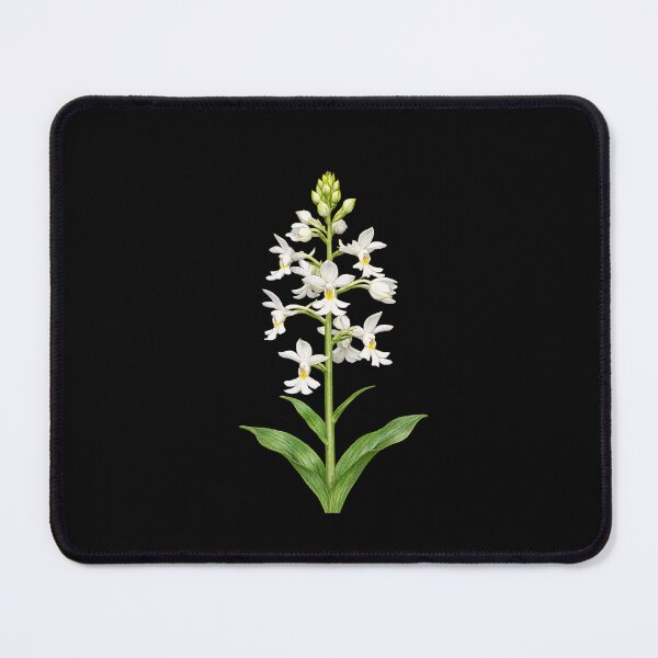 Item preview, Christmas orchid bloom designed and sold by BlueBandedBee94.