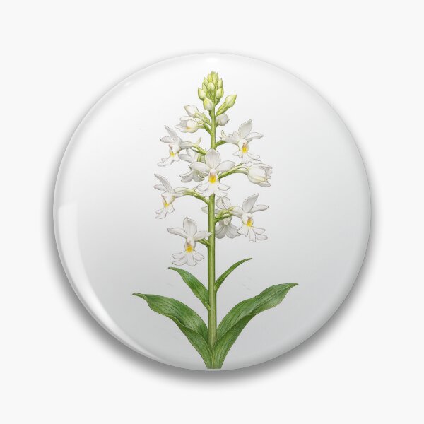 Item preview, Christmas orchid bloom designed and sold by BlueBandedBee94.