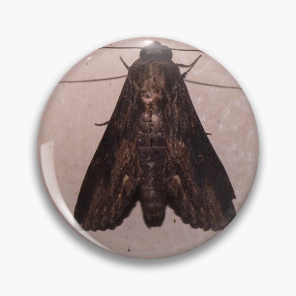 Item preview, Erebidae or Sphingidae designed and sold by ROSE ANN BANILAR.