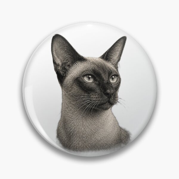 Item preview, Engraved illustration of a Siamese cat portrait designed and sold by Inspired Arts.