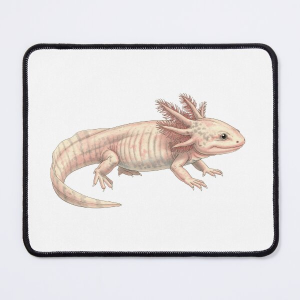 Item preview, Charming Pink Axolotl - Adorable Illustration designed and sold by Chaoscience.