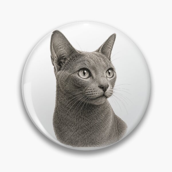 Item preview, Engraved illustration of a Russian Blue cat portrait designed and sold by Inspired Arts.