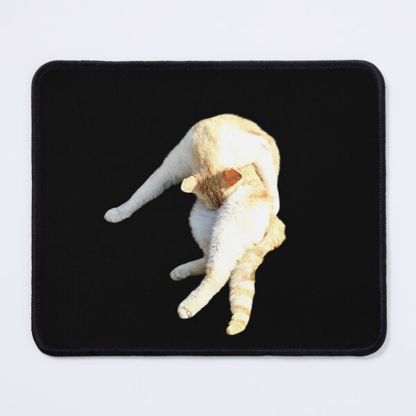 Item preview, Funny Broken Cat Yoga Pose Meme designed and sold by All-Of-Art.
