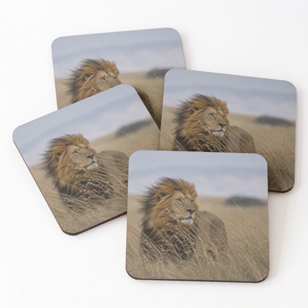 Item preview, Male Lion in Windswept Savanna Grass | African Wildlife Photography | Safari Canvas Wall Art designed and sold by ApexAnimal Art.