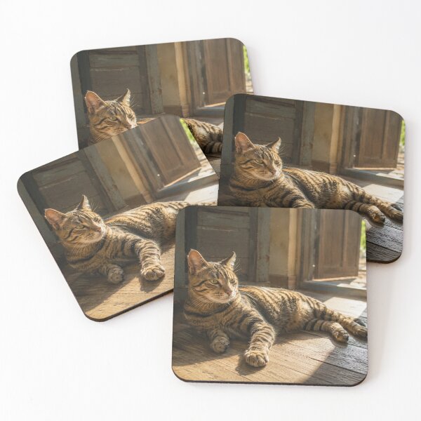 Item preview, Tabby Cat Resting in Warm Sunlight | Rustic Home Pet Photography | Cozy Canvas Wall Art designed and sold by ApexAnimal Art.