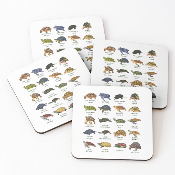 Item preview, Tortoises and Turtles - Types of Turtles T-Shirt designed and sold by KTY-NUSS.