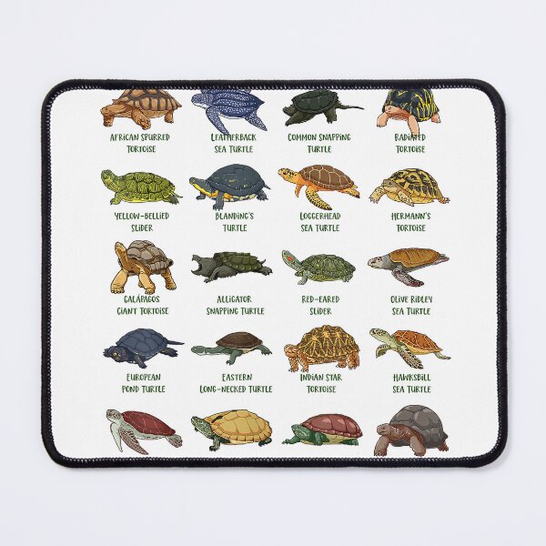 Item preview, Tortoises and Turtles - Types of Turtles T-Shirt designed and sold by KTY-NUSS.