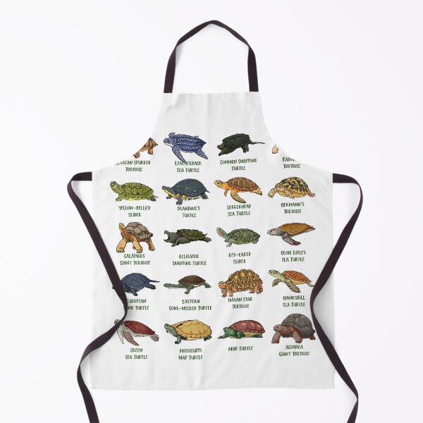 Artikelvorschau, Schildkröten und Wasserschildkröten – T-Shirt mit Schildkrötenarten entworfen und verkauft von KTY-NUSS.