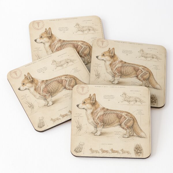 Item preview, Corgi Structural Integrity & Gait Analysis designed and sold by TinyLegs.