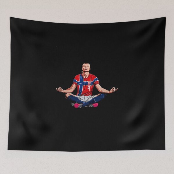 Item preview, Erling Haaland Meme fan Art designed and sold by DonetTrent.