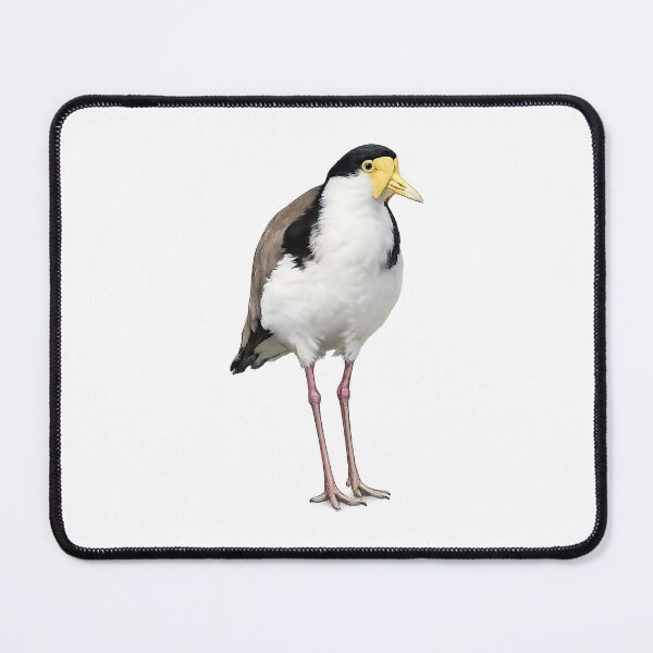 Item preview, Masked Lapwing Watercolour Painting designed and sold by Jaruart.