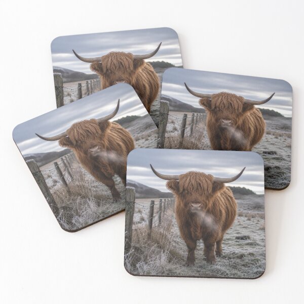Item preview, Highland Cow in Frosty Field | Rustic Winter Cattle Photography | Farmhouse Canvas Wall Art designed and sold by ApexAnimal Art.